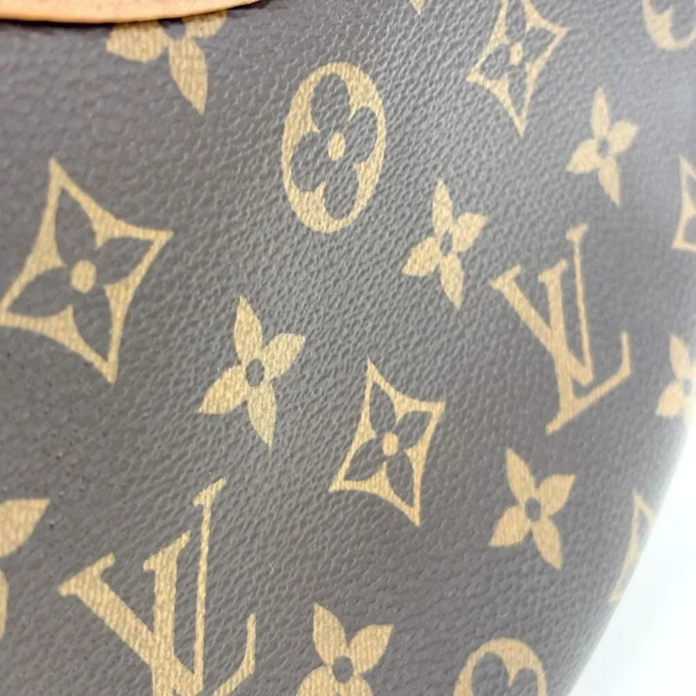 Louis Vuitton Monogram Canvas Loop Bag